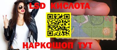 прущие грибы Пыть-Ях