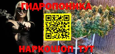 прущие грибы Пыть-Ях