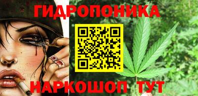 прущие грибы Пыть-Ях