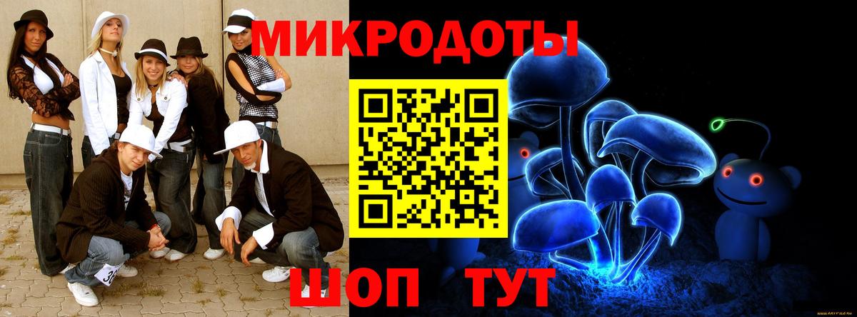 Рассказово  Псилоцибиновые грибы Psilocybine cubensis  Вход с VPN 