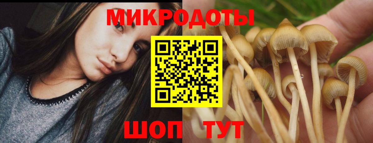 Галлюциногенные грибы Magic Shrooms Рассказово